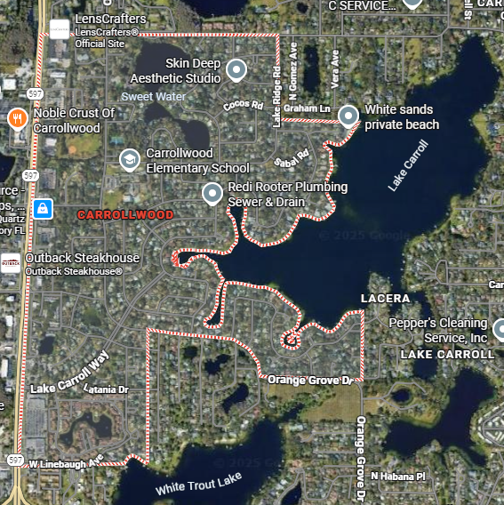 Thinking of Relocating to Carrollwood, Florida? Read this First!