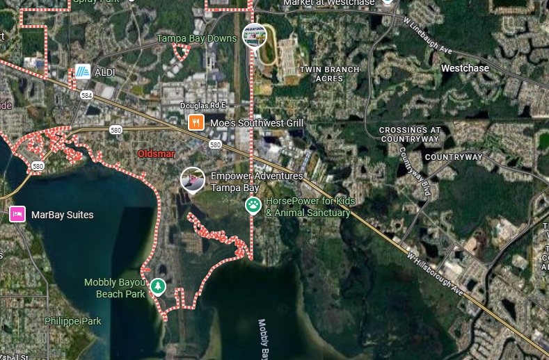 Thinking of Relocating to Oldsmar, Florida? Read this First!