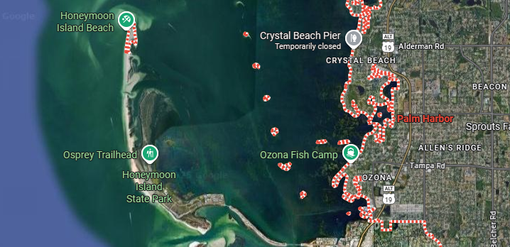 Thinking of Relocating to Palm Harbor? Read this First!