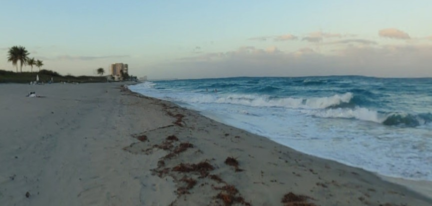Moving to Dania Beach Florida? Read this First!